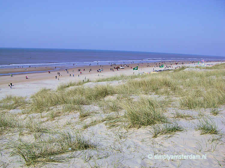 Nudist beach near Zandvoort