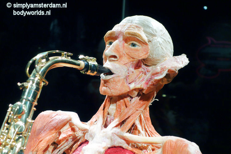 Saxophone player (Body Worlds - the Happiness Project)