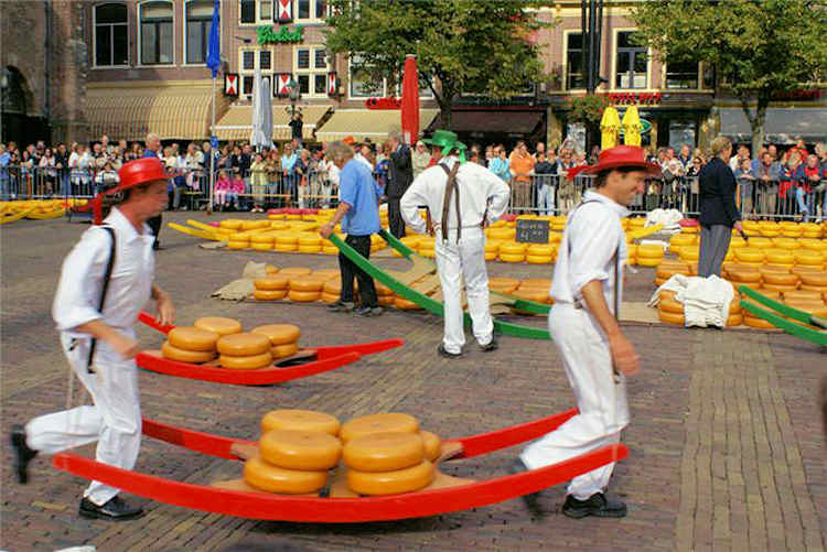 Cheese Market @ Alkmaar